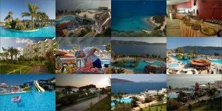 MAJESTY CLUB BELIZIA 
