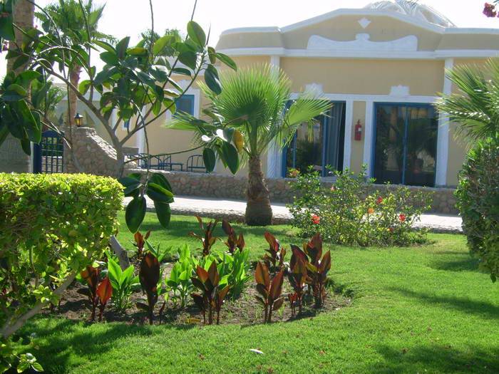 LILLYLAND 
