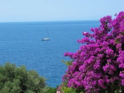 Skopelos Holidays Hotel & Spa 5*