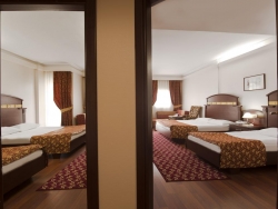 DELPHIN BOTANIK HOTEL 5* AI -  Алания